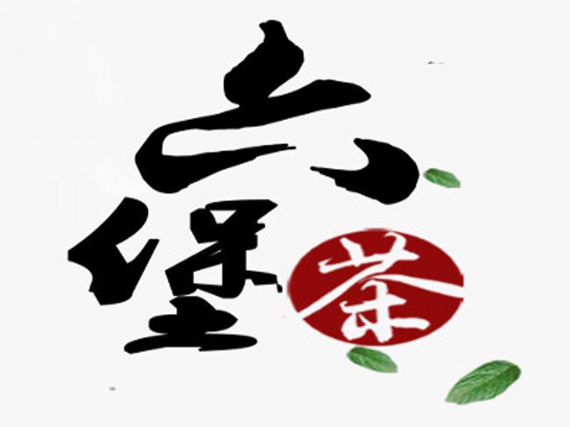青岛茶叶“她”力量：女性在茶产业中的崛起