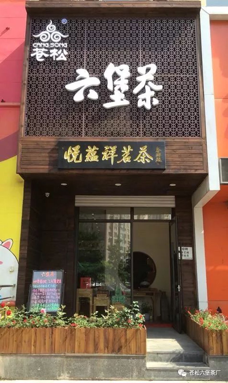 青岛茶叶女：传承与创新的故事
