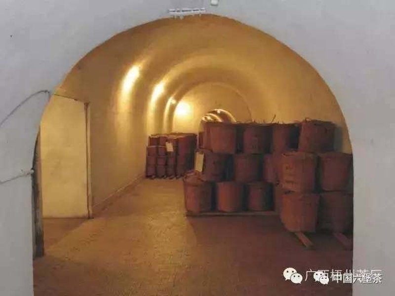 青岛茶叶女，如何成为行业翘楚？